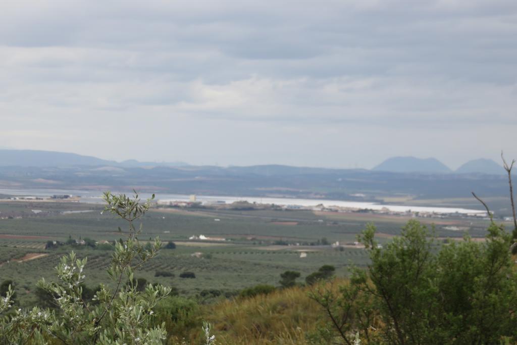 Hotel Antequera Rural Fortes La Nuit Мольина Экстерьер фото